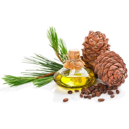 BUY PINE OIL ONLINE 39% ΤΟ 49% IN BULK. Get high-quality chemicals delivered fast for your industrial or laboratory needs—order now! Buy Pine Oil Online, Pine Oil 49% Bulk Supplier, Pine Oil For Sale, Where to Buy Pine Oil At Wholesale Prices