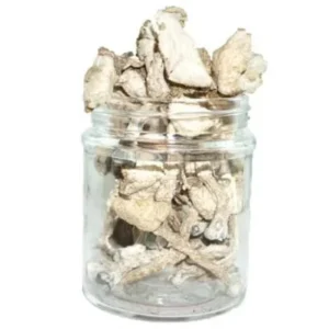 Albino Avery Mushroom. Whether you’re seeking a powerful trip, exploring potential therapeutic benefits, or adding a rare strain to your collection, the Albino Avery Magic Mushroom offers an unparalleled experience.