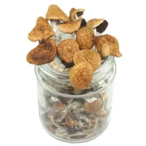 Flying Saucer Magic Mushrooms offer a gateway to extraordinary psychedelic experiences, combining exceptional potency with unique visual and emotional effects. Order Now