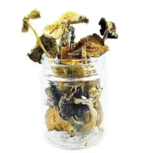 Golden Emperor Magic Mushrooms provide a transformative and regal psychedelic experience that is both powerful and enlightening. Order Now