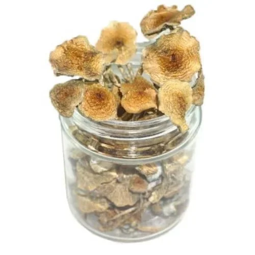 Goldilocks Magic Mushrooms offer the perfect balance of potency, visual appeal, and psychedelic effects, making them an ideal choice for those seeking a well-rounded and enjoyable experience. Order Now